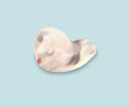 Bouchons sur-mesure spécial chasse - StopGun