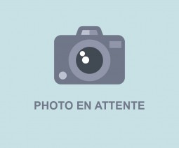 Bouchon oreille chasse...